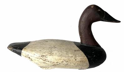 **Sold**J95 Rare high head Canvasback Drake gunning decoy by Henry Davis, Perryville, Maryland.  Circa 1910s. Decoy is in good condition with a nice surface and boasts a second coat of paint. Stamped # 42 on the bottom.