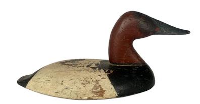 RM1375 Canvasback Wingduck wooden decoy carved by Standley Evans (1887-1953) of Elkton (Cecil County), Maryland. Branded "HWR" on the bottom. Original staple and ring still intact.  Approximate measurements: 14 3/4" long x 6" wide x 6" tall  