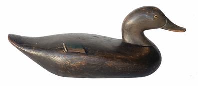 RM1341 Madison Mitchell Black Duck Decoy - signed and dated on bottom 1947. Original scratch painting. Measurements:  16 1/2" long x 6 1/2" wide x 7" 
