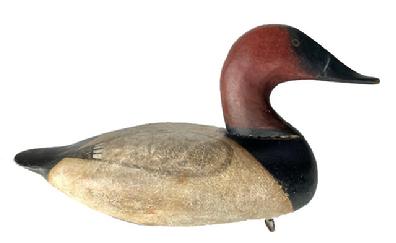 SCOTT JACKSON  Canvasback drake gunning decoy by the famous Scott Jackson, Charlestown, Maryland.Branded  ( 0 0 ) for the Oliver Nash rig of decoys. Jackson was one of the famous Charlestown Five decoy makers. His decoys are very difficult to find. This wonderful old circa 1910 gunning decoy is in old repaint. Has wonderful sleek form and nicely carved head!  Scott Jackson was Hansen's guide on the Susquehanna Flats
