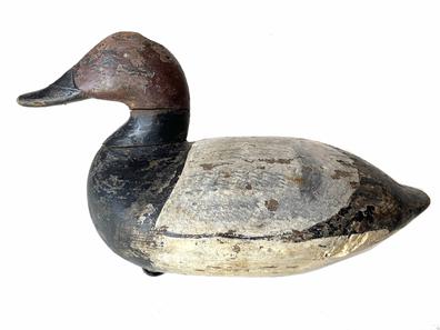 G830 Early Canvasback Drake by John B. Graham (1822-1912) Charlestown, MD, working repaint with great form with a fat body branded on underside with a (3) Though John Graham was a cabinet maker, guide, market hunter and Charlestown's undertaker, he still found time to produce large quantities of decoys between the 1840's and 1880's.