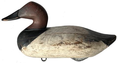 J210 Canvasback Drake decoy carved by Madison Mitchell Havre de Grace, MD (1901-1993) retaining its original painted surface.  Original weight, ring and staple remain intact on bottom. Circa 1940's.