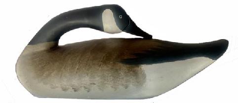 RM1410 Canadian Goose "Sleeper" carved by Madison Mitchell - and painted by Charlie Joiner, Chestertown, MD. Original weight, staple and ring intact on bottom. Approximate measurements: 21 3/4" long x 8 1/2" wide x 9" tall 