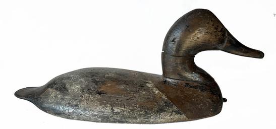 H1024 Will Heverin (1860-1951), Charlestown, Maryland - Canvasback Hen wing duck decoy. Branded "C C" on bottom. Original staple intact on front bottom of decoy.  