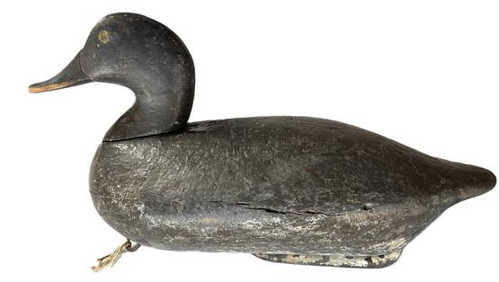 **SOLD** K1759 Redhead Hen decoy carved by John "Daddy" Holly (1819-1892) of Havre de Grace, Maryland.  Original iron keel weight, staple and ring remain intact on bottom. Head is original but shows evidence it has been re-situated at some point.  