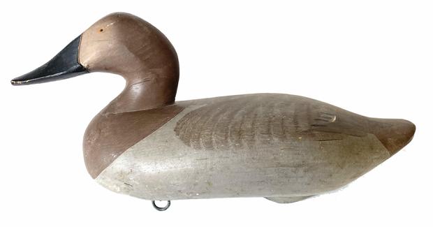 G792 Canvasback Hen decoy carved by Madison Mitchell